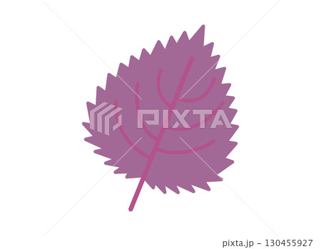 シンプルな赤紫蘇のイラスト 130455927