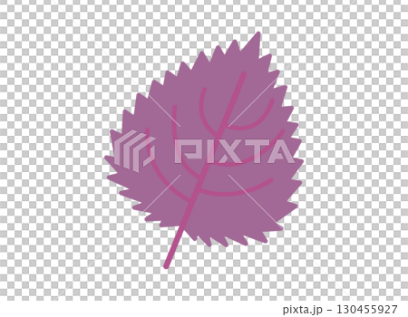 シンプルな赤紫蘇のイラスト 130455927