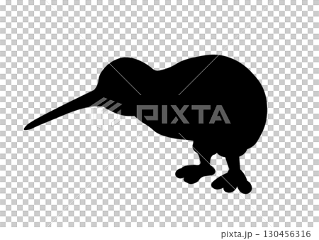 奇異果的剪影 奇異果的剪影 130456316