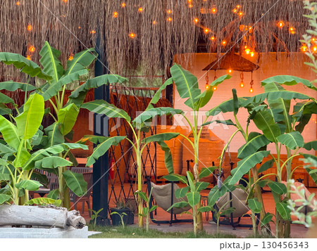 Banana plants in front of a tropical lounge with warm lights and rustic roof. Relaxation, evening atmosphere, resort design, vacation mood and tropical environment. 130456343