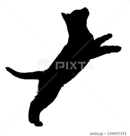 じゃれて遊ぶ猫のシルエット 動物 ひっかく 飛ぶ ジャンプ じゃれて遊ぶ猫のシルエット 動物 ひっかく 飛ぶ ジャンプ 130457351