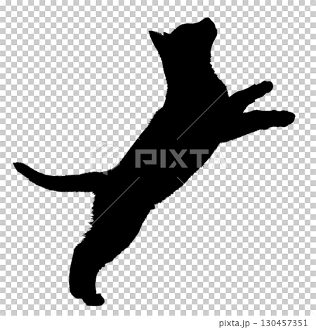 Silhouette of a playing cat, animal, scratch, jump, jump 130457351