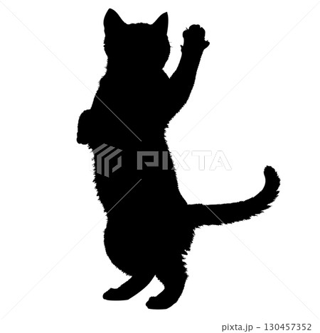 じゃれて遊ぶ猫のシルエット　動物　ひっかく　飛ぶ　ジャンプ 130457352