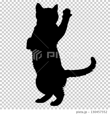 Silhouette of a playing cat, animal, scratch, jump, jump 130457352