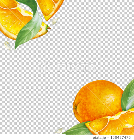Watercolor square frame with juicy fruits hand-drawn. Whole oranges, slices, green leaves and seeds. A botanical template with seasonal fruits for packaging, wallpaper, kitchen textiles, and tableware Watercolor square frame with juicy fruits hand-drawn. Whole oranges, slices, green leaves and seeds. A botanical template with seasonal fruits for packaging, wallpaper, kitchen textiles, and tableware 130457476