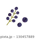 Watercolor blueberry illustration. Purple blueberries on a stem and loose, isolated on white. 130457889