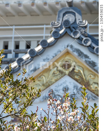 梅の花と岐阜城天守 梅の花と岐阜城天守 130459035