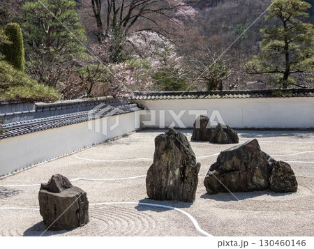 春の石庭の景色 春の石庭の景色 130460146
