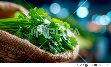 Fresh cilantro bundle displayed on a market stall with vibrant green leaves glistening under soft light 130461393