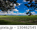 View of the beautiful cultivation fields on the fertile lands of the Valle del Cauca region in Colombia 130462545