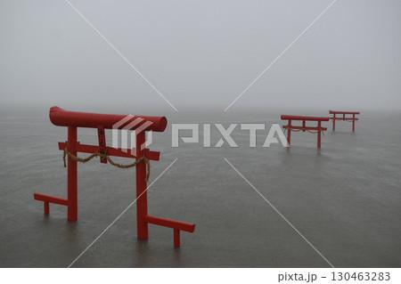 大魚神社の海中鳥居　佐賀　鳥居　九州 130463283