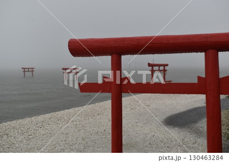 大魚神社の海中鳥居　佐賀　鳥居　九州 130463284