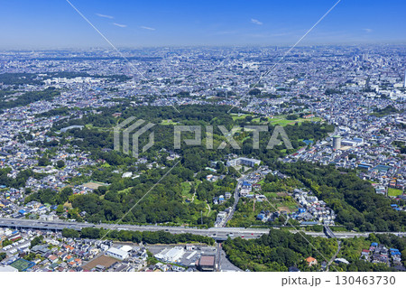 深大寺城跡地から深大寺緑地全景・Aerial View 130463730