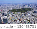 渋谷から代々木公園を望む・Aerial view 130463731