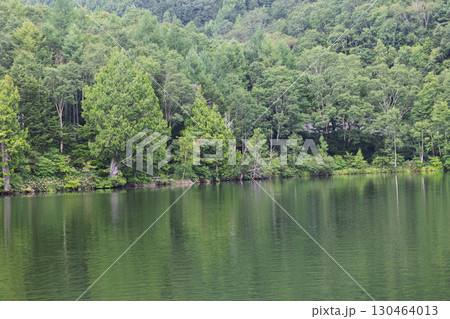 夏の志賀高原　木戸池 130464013