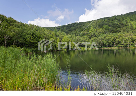 夏の志賀高原　木戸池 130464031