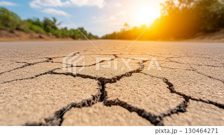 Dry cracked earth under bright sun, showcasing effects of heatwaves and drought. landscape reflects environmental changes and climate impact 130464271