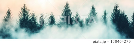 Misty forest landscape with tall evergreen trees shrouded in fog, creating serene and mysterious atmosphere. soft light enhances tranquil scene 130464279