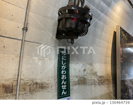 郷湯西川観光センター、道の駅湯西川と併設する湯西川温泉駅 130464739