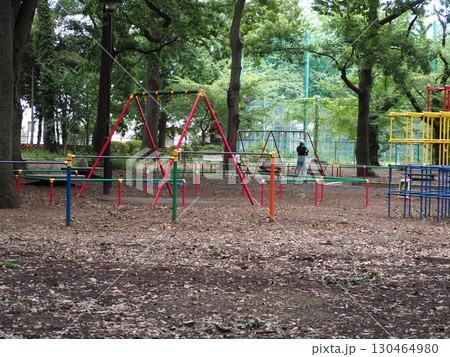 ジャングルジムとブランコ 130464980