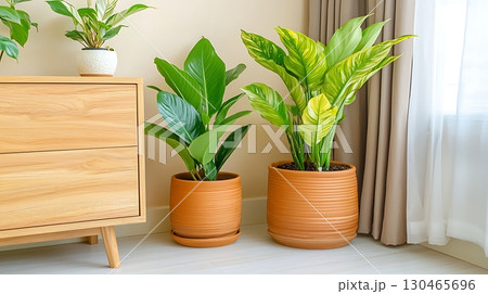 Indoor plants in stylish pots next to wooden furniture in bright modern living room 130465696