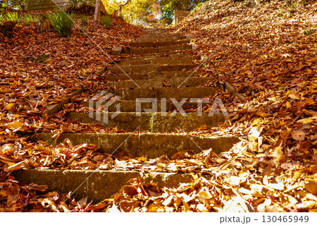 もみじ寺　茨城県 130465949