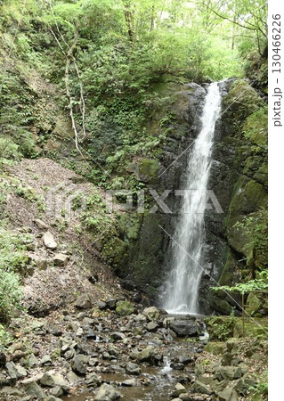 湯河原町　白雲の滝 130466226