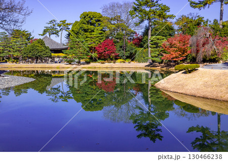 紅葉の日本庭園 130466238