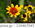 宇治市植物公園 宇治市植物公園 130467045