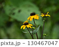 宇治市植物公園 宇治市植物公園 130467047