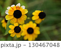 宇治市植物公園 宇治市植物公園 130467048