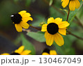 宇治市植物公園 宇治市植物公園 130467049
