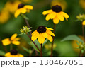 宇治市植物公園 宇治市植物公園 130467051