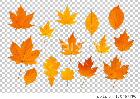 秋の紅葉のリアル写真風透過素材セット 130467790