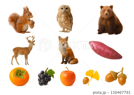 秋の動物と果物のリアル写真風透過素材セット 130467791