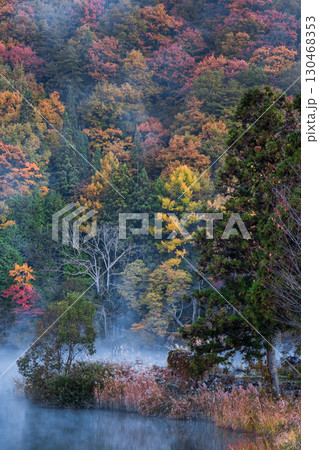 中綱湖（秋） 130468353