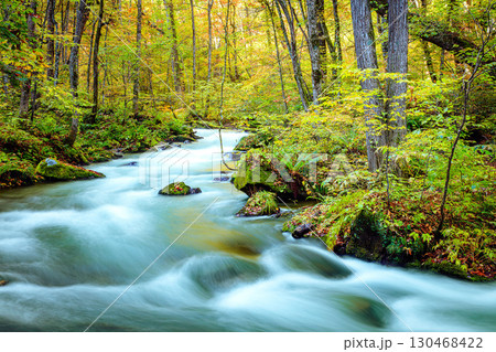 奥入瀬渓流の10月下旬の紅葉(青森県十和田市) 130468422