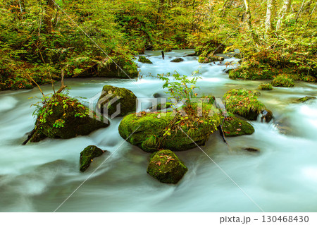 秋の奥入瀬渓流(青森県十和田市) 130468430