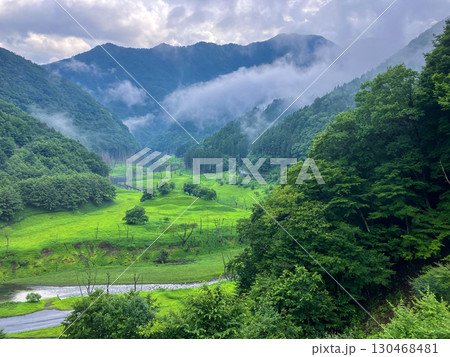 雨上がりの湯西川　幻想的な風景 130468481