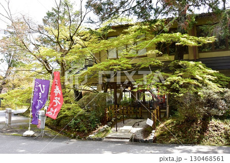 大津市 三井寺(園城寺)境内のレストラン風月と新緑 大津市 三井寺(園城寺)境内のレストラン風月と新緑 130468561