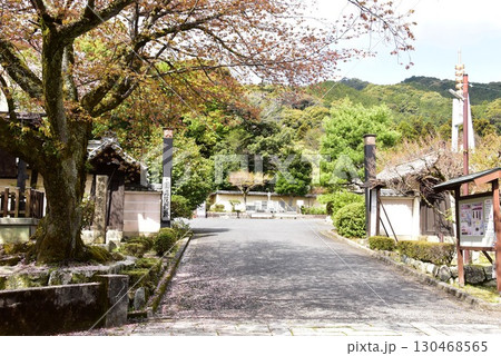 大津市 三井寺(園城寺)境内の円満院門跡 大津市 三井寺(園城寺)境内の円満院門跡 130468565