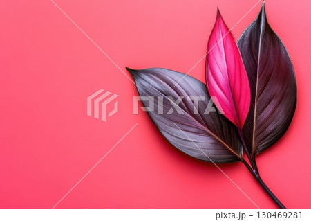 Vibrant foliage against a flat background showcasing the beauty of nature's colors Vibrant foliage against a flat background showcasing the beauty of nature's colors 130469281