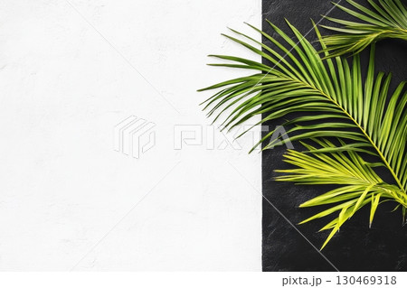 Green palm leaves arranged on contrasting black and white background in a modern design setting 130469318