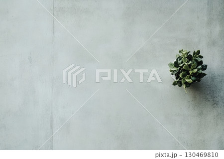 Small green plant in a pot on a light gray concrete surface with minimalistic decor in a modern setting 130469810