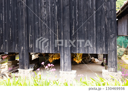 対馬 鰐浦小屋群の床下に干された玉ねぎ 対馬 鰐浦小屋群の床下に干された玉ねぎ 130469936