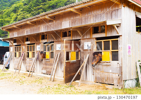 目保呂ダム馬事公園　馬小屋 130470197