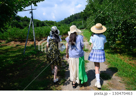 農園でブルーベリー狩りを楽しむ麦わら帽子の女の子 農園でブルーベリー狩りを楽しむ麦わら帽子の女の子 130470463