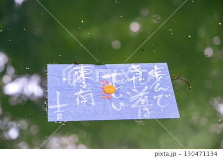 【#島根】八重垣神社の鏡の池の縁占い 130471134