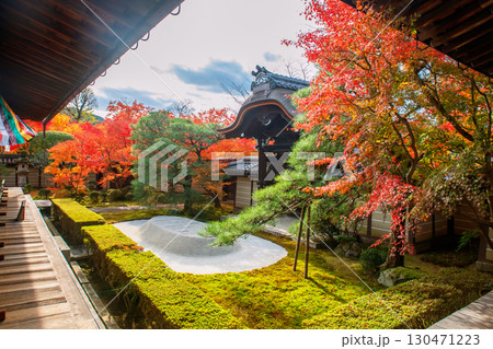Sand fall garden by Shaka-do Hall of Eikando temple in fall, Kyoto Sand fall garden by Shaka-do Hall of Eikando temple in fall, Kyoto 130471223
