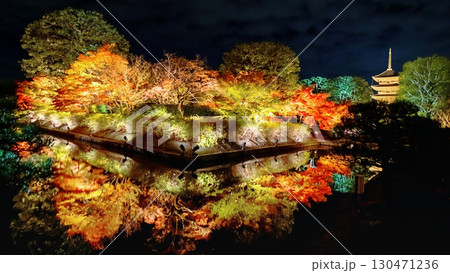Five-story Toji pagoda and colorful autumn maple leaf light up, Kyoto 130471236